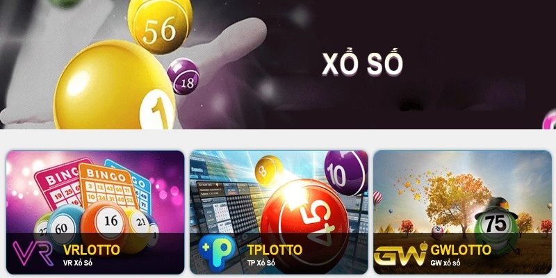 20 Number